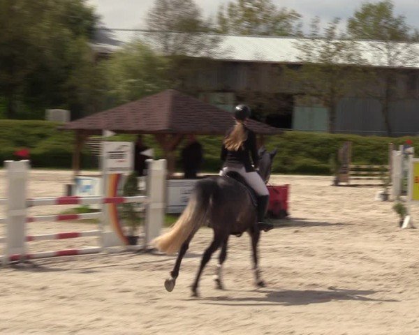 Reitturnier Pietzpuhl 2024