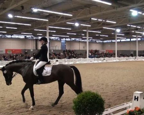 K+K Cup Münster 2012