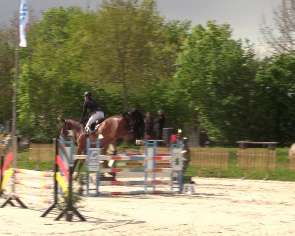 Reitturnier Pietzpuhl 2024