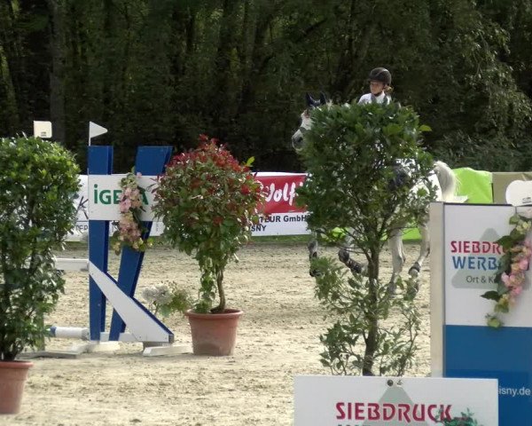 Reitturnier Isny-Rohrdorf 2021