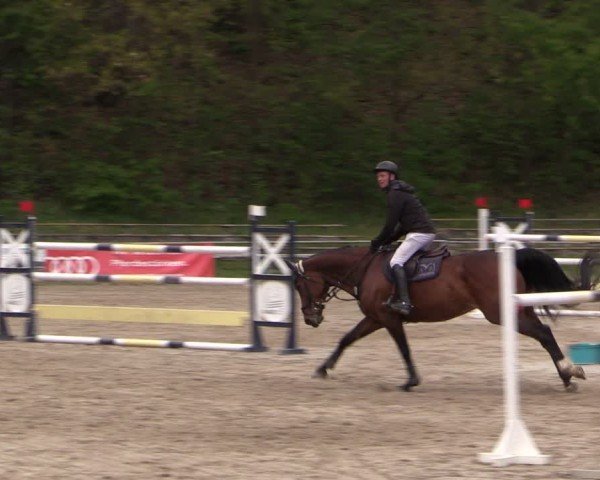 Reitturnier Lgl.-Oberhain, B95 2024