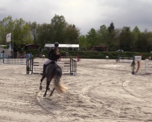 Reitturnier Pietzpuhl 2024