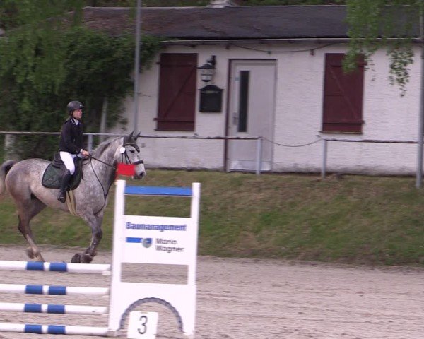 Reitturnier Lgl.-Oberhain, B95 2024