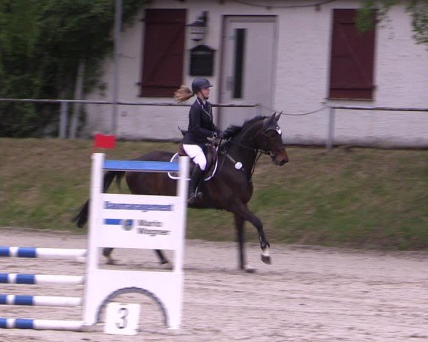 Reitturnier Lgl.-Oberhain, B95 2024