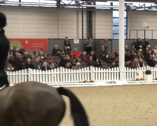 K+K Cup Münster 2012