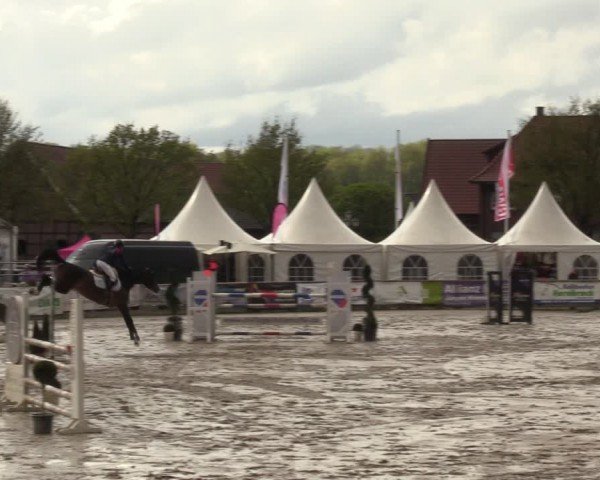 Reitturnier Werne-Lenklar 2024