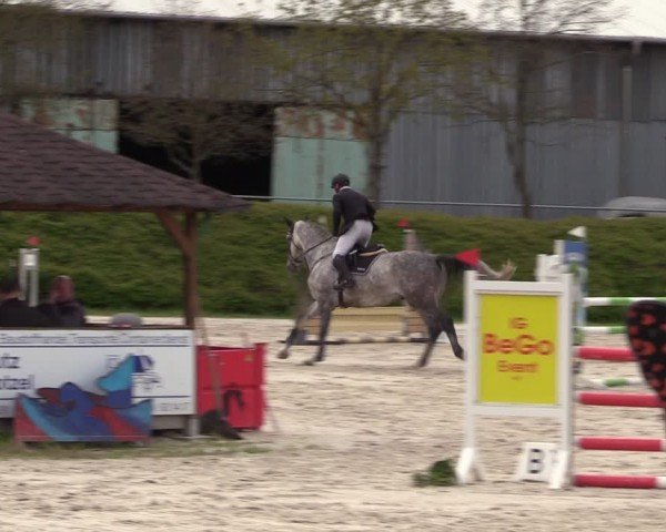 Reitturnier Pietzpuhl 2024