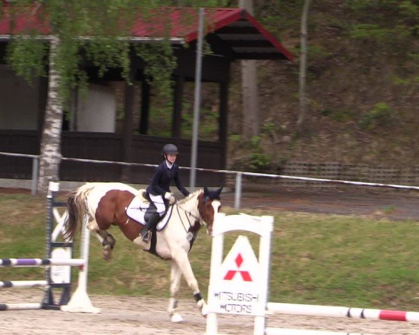 Reitturnier Lgl.-Oberhain, B95 2024