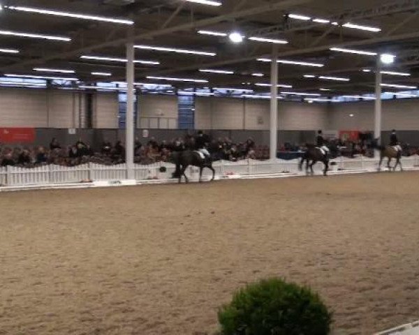 K+K Cup Münster 2012