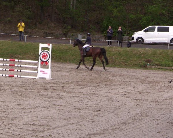 Reitturnier Lgl.-Oberhain, B95 2024