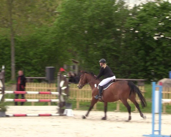 Reitturnier Pietzpuhl 2024