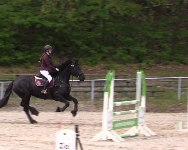 Reitturnier Lgl.-Oberhain, B95 2024
