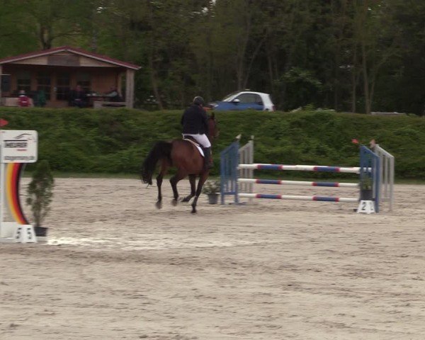 Reitturnier Pietzpuhl 2024