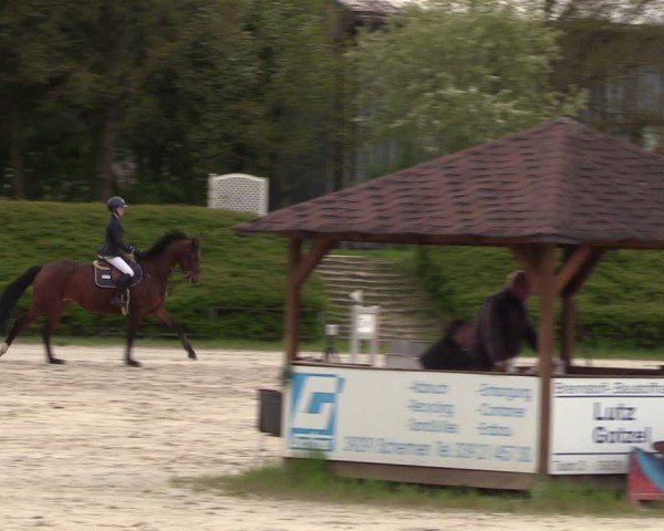 Reitturnier Pietzpuhl 2024