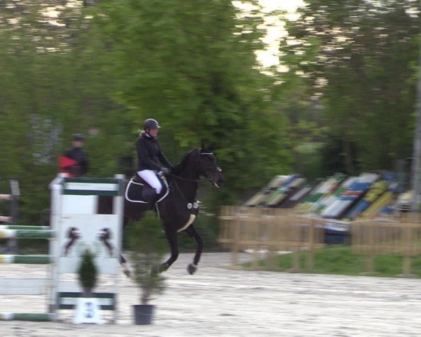 Reitturnier Pietzpuhl 2024