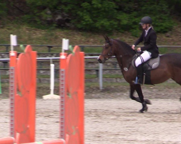 Reitturnier Lgl.-Oberhain, B95 2024