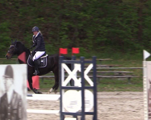 Reitturnier Lgl.-Oberhain, B95 2024