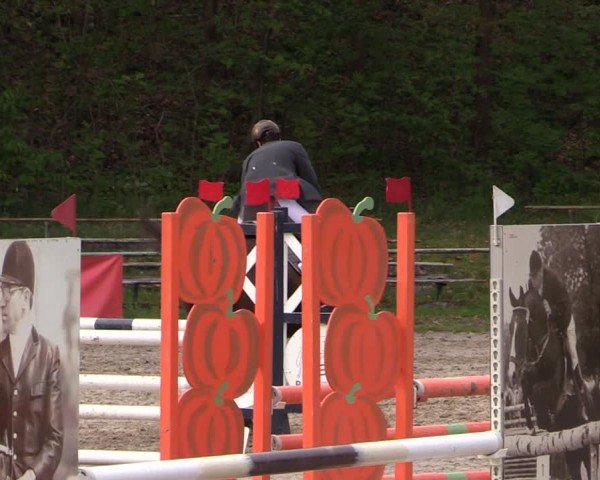 Reitturnier Lgl.-Oberhain, B95 2024