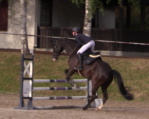 Reitturnier Lgl.-Oberhain, B95 2024