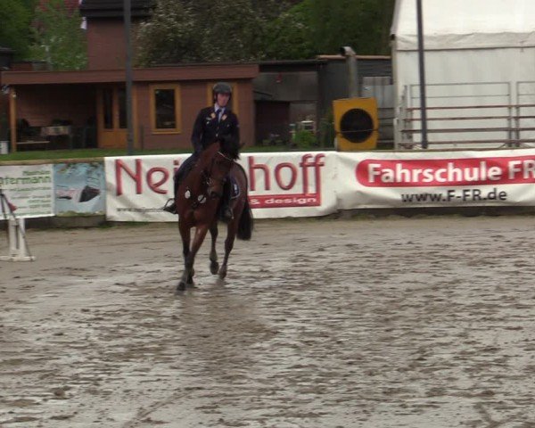 Lenklarer Reitertage Werne 2024