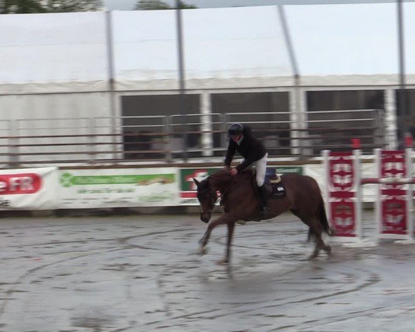 Lenklarer Reitertage Werne 2024