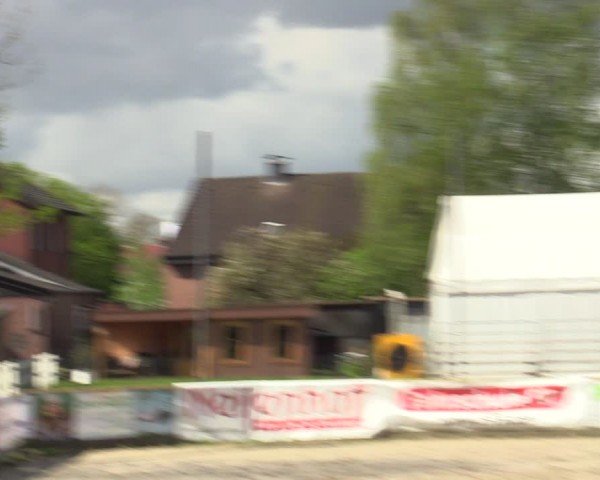 Reitturnier Werne-Lenklar 2024