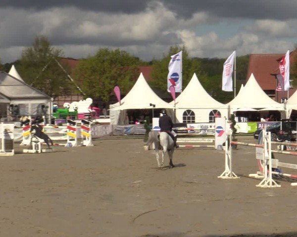 Reitturnier Werne-Lenklar 2024