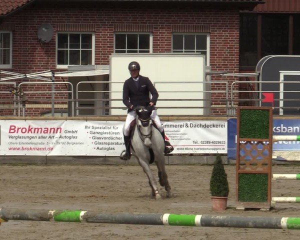 Reitturnier Werne-Lenklar 2024