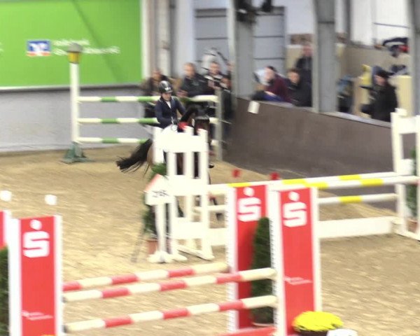23. Legdener Ponymeeting 2021