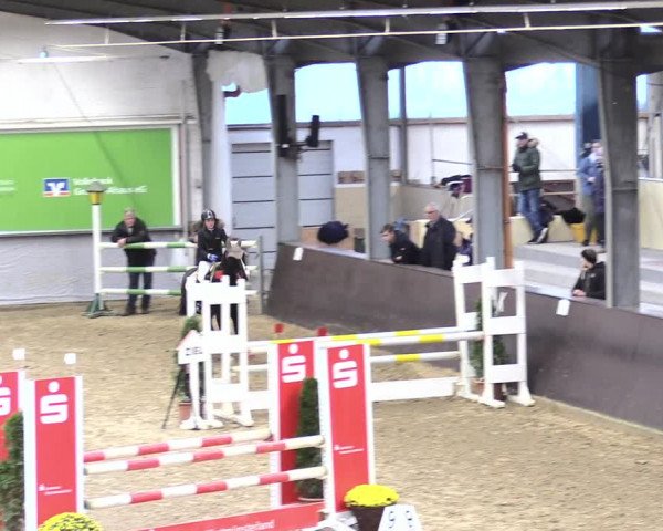 23. Legdener Ponymeeting 2021