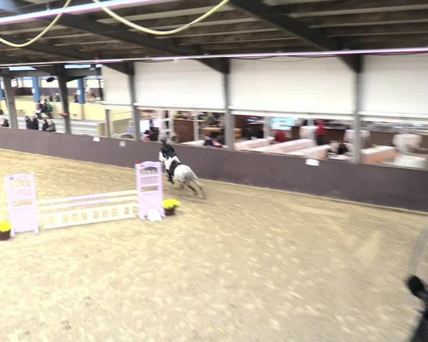 23. Legdener Ponymeeting 2021