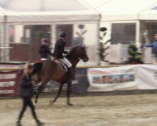 Reitturnier Werne-Lenklar 2024