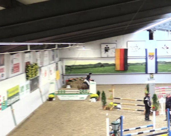 23. Legdener Ponymeeting 2021