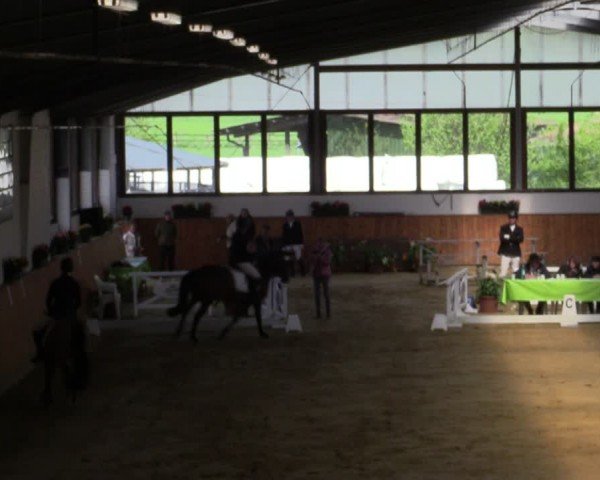 Reitturnier Werne-Lenklar 2024
