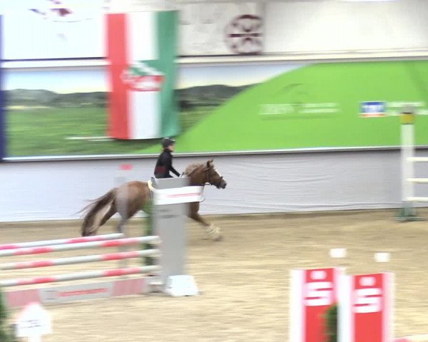 23. Legdener Ponymeeting 2021