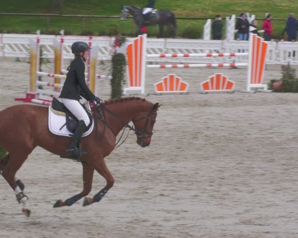 Reitturnier Tübingen 2024