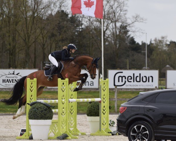 jumper Fabiana 37 (Holsteiner, 2013, from Nekton)