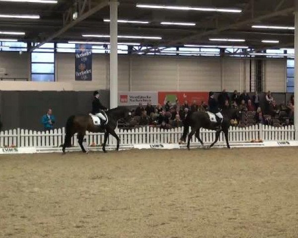 K+K Cup Münster 2012