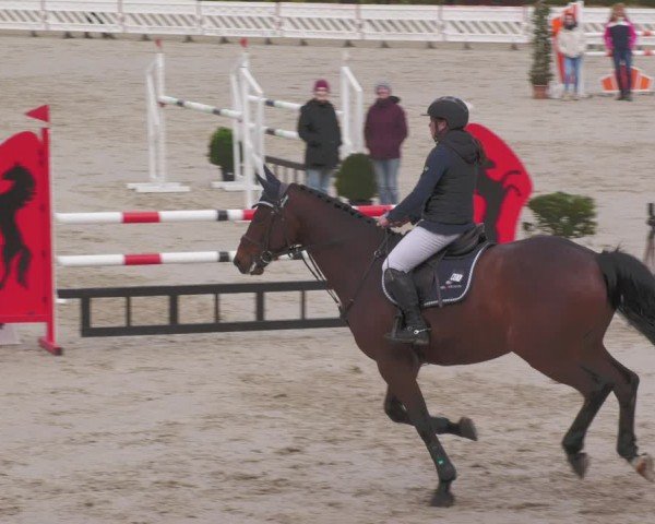 Reitturnier Tübingen 2024