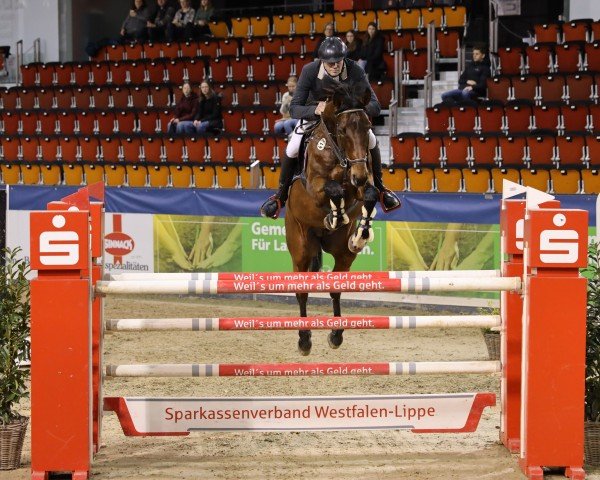 jumper Coelestin Frodewin (Westphalian, 2013, from Cup Cooper)