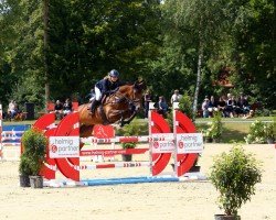 jumper Balous Belissima (Westphalian, 2015, from Balous Bellini)