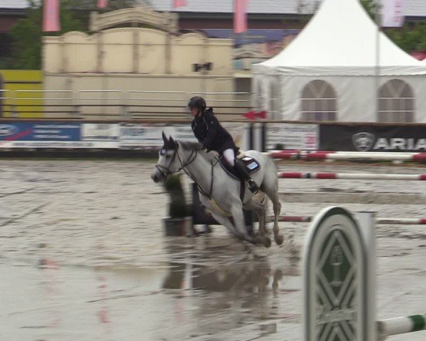 Lenklarer Reitertage Werne 2024