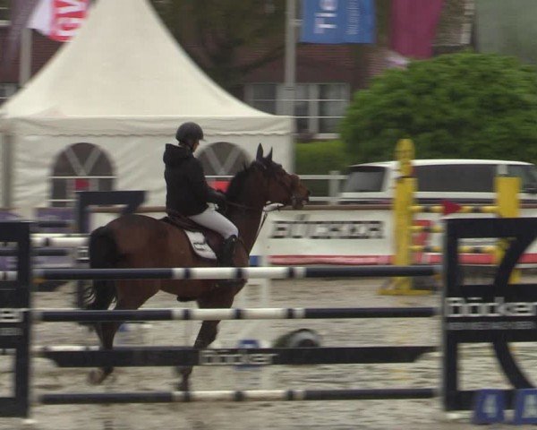 Reitturnier Werne-Lenklar 2024