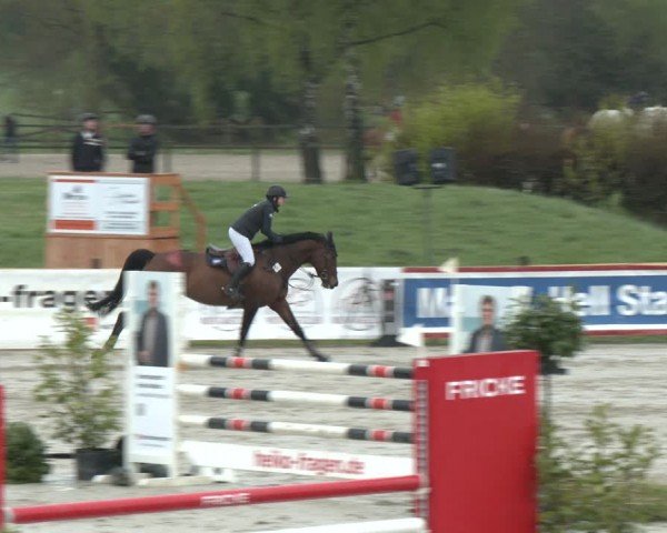 Reitturnier Westergellersen 2024