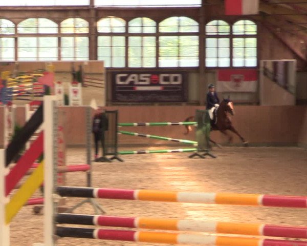 Reitturnier Elisenau 2021