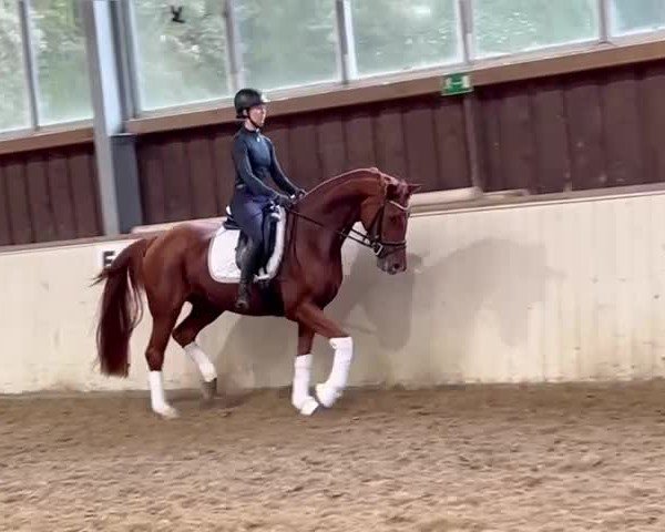 Video of Delicia