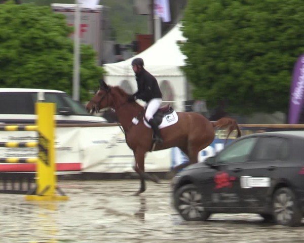 Lenklarer Reitertage Werne 2024
