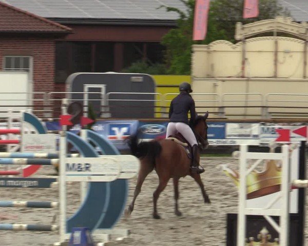 Lenklarer Reitertage Werne 2024