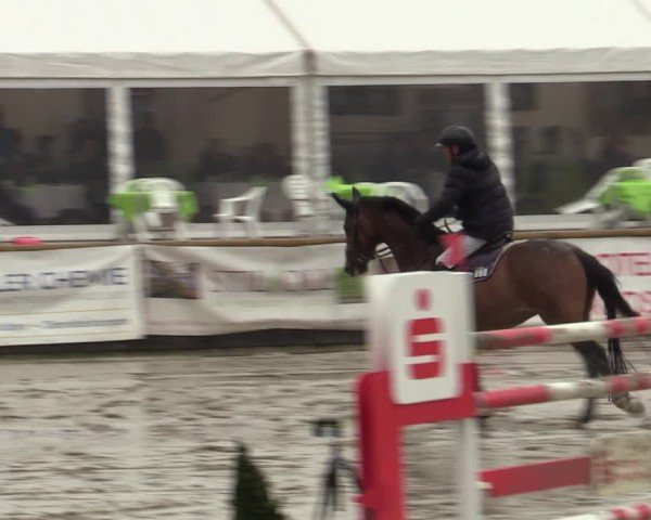 Reitturnier Werne-Lenklar 2024