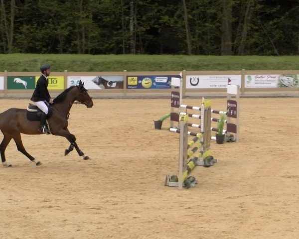 Reitturnier Tiefenhof/Opf. 2024
